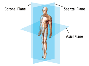Anatomic Planes